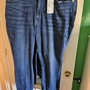 Judy Blues Jeans 22W